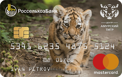 Амурский тигр — Россельхозбанк
